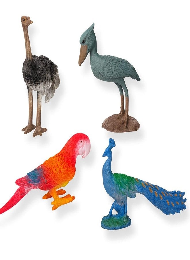 DTR Creation 4 Pcs Bird Figurine Set - Ostrich, Shoebill, Parrot & Peacock | Realistic Animal Bird Toys for Kids, Collectors & Home Décor | Durable Plastic Educational Toy Figures - Image 2